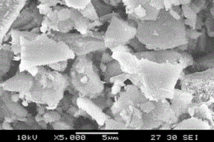 羟基磷灰石/蔗渣活性炭的制备方法