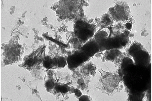 生物磁性纳米复合材料、及其制备方法和应用