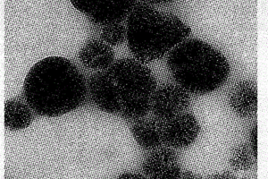 分等级结构的二氧化铈纳米晶微球的低温制备方法