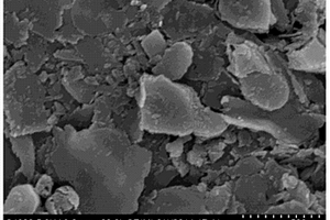 Ti3C2纳米片在处理水中高氧化性有毒金属离子的应用