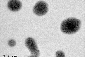 海藻酸钠微胶囊负载纳米Fe‑FeS复合颗粒及其制备方法和应用