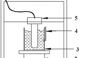 催化降解水中全氟辛酸的装置和方法