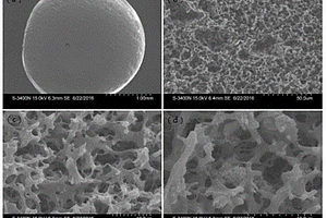 超声辅助纳米氧化铝改性聚乙烯醇-海藻酸钠包埋材料及其制备方法和应用