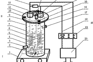 厌氧氨氧化微生物燃料电池