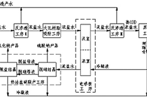 膜法、热法组合工艺处理煤化工高浓盐水的盐硝分离方法