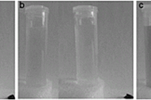 氧化石墨烯/聚合物凝胶及其制备方法和应用