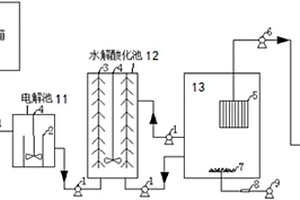 电解/水解/DMBR联合处理反应器及工艺