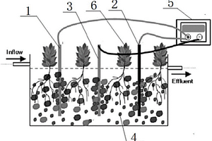 电化学强化人工湿地装置