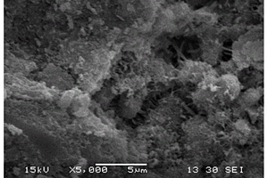 C25级碱激发硅铝质全固废混凝土及其制备方法