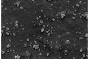 固体废弃物表面原位生长纳米SiO2的制备方法