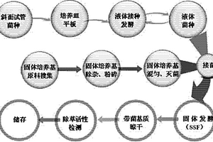 齐整小核菌固体发酵培养基及其应用