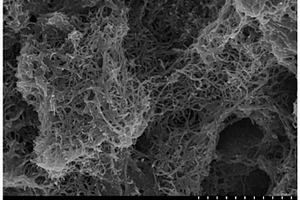 固体酸催化剂、碳纳米纤维的制备方法