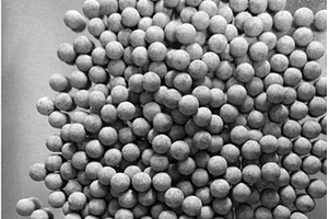 生物质固体碳源陶粒及其制备方法和应用
