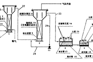 高浓度氨氮废水的脱氮工艺