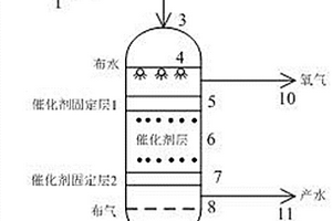 臭氧异相催化氧化废水中COD的方法及装置