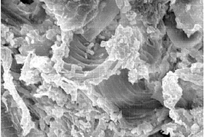 基于氧化水醇法从烟草废弃物中提取纤维素的方法