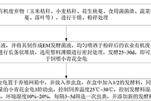 利用小青花金龟幼虫过腹转化处理农村有机废弃物的方法