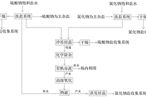 废盐资源化处理工艺及其专用设备