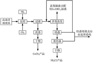 含盐甘油废水处理系统及工艺