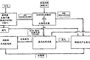 从废弃物得到能量的低投入和高热电产率的联合过程和相关系统