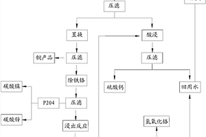 多金属共存危险废物的处置方法