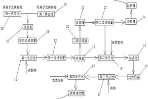 处理纯化骨胶原蛋白的阴阳离子交换树脂再生废液的设备