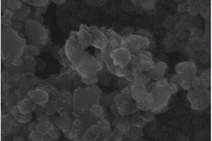 多物理场调控钙基固废溶解结晶制备纳米材料的方法