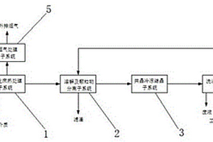 固体废盐的纯化处理系统及其处理方法