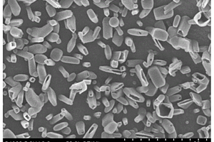 固体废弃物微波辅助解聚用SiC基复合催化剂及其制备方法
