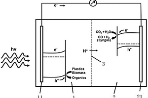 光电催化有机固废氧化耦合二氧化碳还原系统及方法