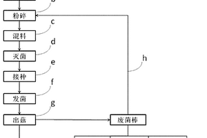 处理餐厨垃圾的方法