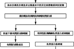 生产鱼类蛋白质的方法及生产鱼类蛋白肽的方法