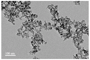 聚没食子酸修饰的磁性纳米吸附剂及其应用