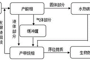 水热炭制备和原位生物燃气提质的方法