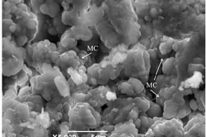镁钙碳酸盐胶凝材料及其制备方法