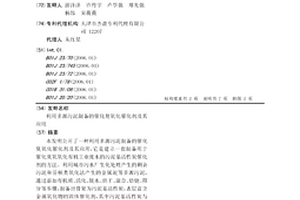 利用多源污泥制备的催化臭氧化催化剂及其应用