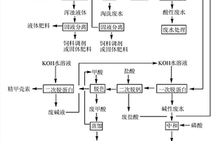 从干虾壳中提取甲壳素的方法