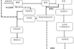 植物纤维的生物机械或化学机械式制浆造纸的工艺