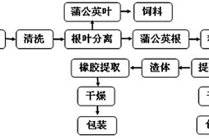 从蒲公英橡胶草中连续高效循环提取蒲公英橡胶和菊糖的方法