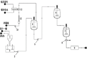 用11-氨基十一酸聚合制备尼龙11的工艺系统及方法