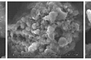 壳聚糖包覆的粉煤灰磁珠磁性吸附剂的合成方法