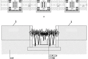 混凝土排水明沟的生态化改造方法