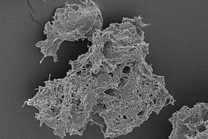 化学处理蟹壳粉的方法、增强聚乳酸3D打印材料及其制备方法