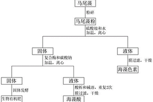 马尾藻综合利用方法