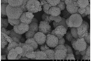 花状氧化铜纳米球的合成方法及应用