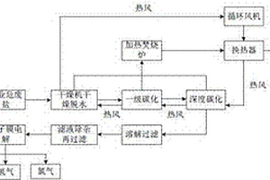 工业危废盐处置及资源化回收利用的装置与方法