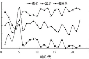 曝气生物滤池组合填料及应用