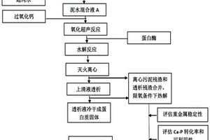 剩余污泥超声耦合热解液固分离提取蛋白质和磷的方法