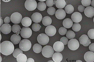 基于二步水热法制备油茶籽壳碳微球的方法