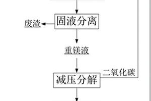 高压碳化提镁的方法